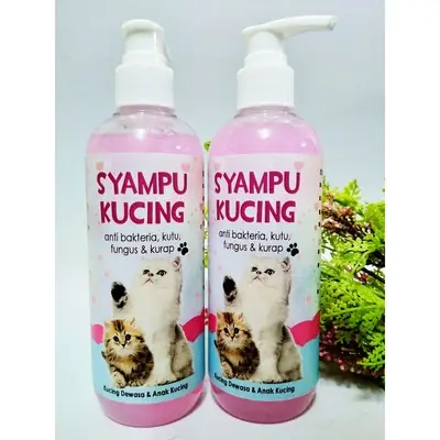 SYAMPU KUTU KUCING..