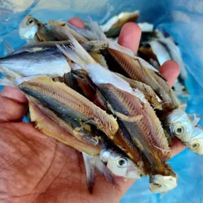 Ikan  Kering Tamban Belah  kurang Masin Sangat sedap👍