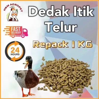 SP Berkat 605 Dedak Itik Telur (Duck Layer Feed) 1KG - Egg Booster | Protein 14% / Tambah Hasil Telur 优等鸭蛋饲料 [1KG]