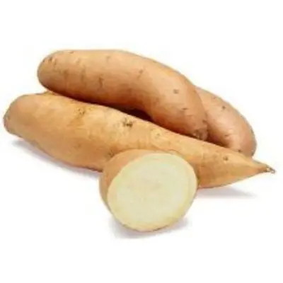 500g/1kg Sweet Potato(White)/Keledek Putih
