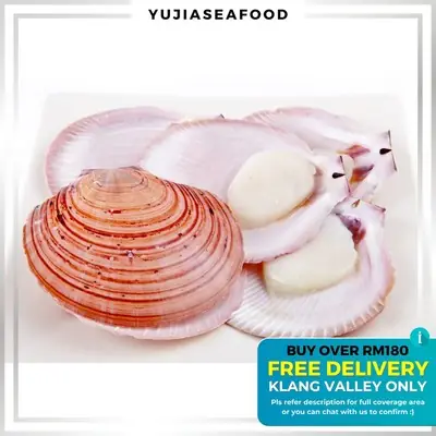 [KL&SGR SAHAJA] Local Half Shell Scallop / Pink Scallop / Frozen Kekapis / 本地半壳扇贝带子 / 粉红壳扇贝带子