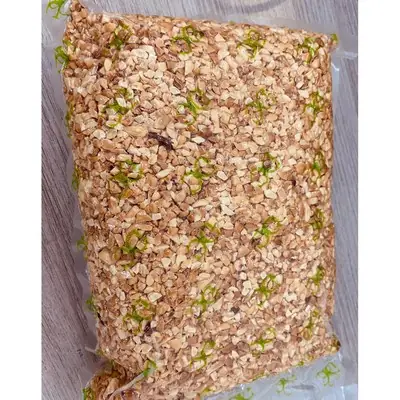 Roasted Peanut Chunk 1kg (Vacumn Pack) Kacang Cincang Kacang Tumbuk [New Stock] PEANUT CHUNKS 1kg | 花生碎粒
