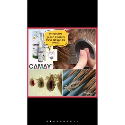 CAMAY SPRAY KUTU RAMBUT | HEAD LICE Bebas Racun, Selamat Untuk Anak Kecil