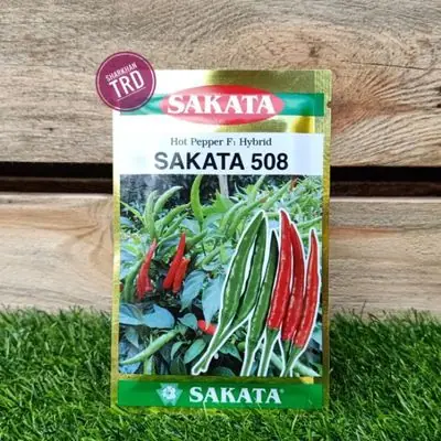 Paket 5g (700 Biji) SAKATA 508 Biji Benih Cili Lada Burung Thailand Original Hot Pepper F1 Hybrid Cili Api Bird Eye.