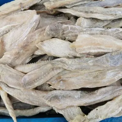 Ikan Masin ISi Ikan Yu