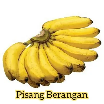 [1KG±] Pisang Berangan/Rastali/Nipah/Nangka/Tanduk/Emas/大力蕉/红肉蕉/米蕉/金蕉/小甜蕉/贡蕉/小香蕉/牛角蕉/尼芭蕉/囊卡蕉/Banana/Plantain/Kerepek