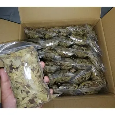 TEH DIET 💯 Original DAUN TEH SENNA @ SANNA 💯🔥 50g DETOX AND SLIM organik produk ✔️ 🥰