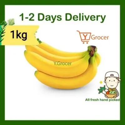 Cavendish Banana / Pisang Montel / 卡文迪什香蕉 1kg Fresh Fruit