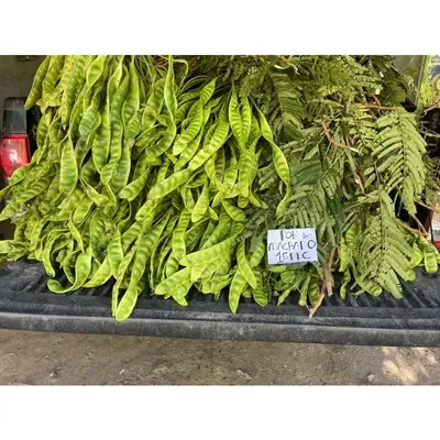 RM1.70 GRED A MIX AA SEPAPAN/ SEKEPING / PETAI KAMPUNG / PETAI PAPAN / PETAI KOPEK /PETAI PEELED /PETAI PADI.