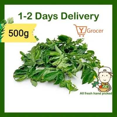 Pucuk Manis / 马尼菜 Fresh Vegetable Delivery 500g