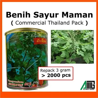 MAMAN Benih Sayur Maman Thailand Cleome