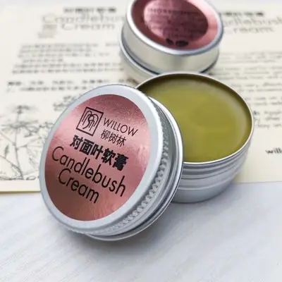 Candlebush