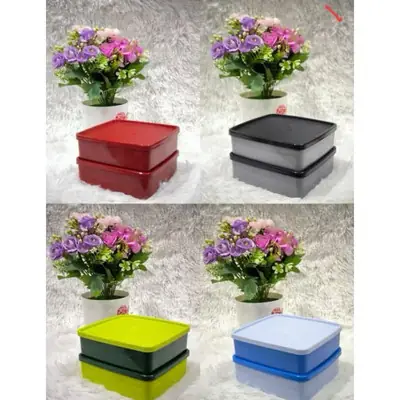 Tupperware Large Square Away 620ml