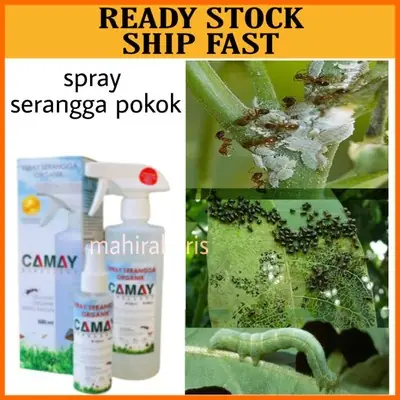 PROMOSI!! Spray Hapus Serangga Perosak Pokok  Tanaman Camay Repellent for Plant Spray Racun Serangga Organik Tanpa Kimia