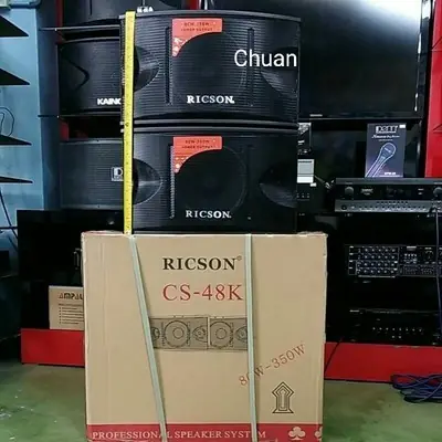 RICSON 10 INCH KARAOKE SPEAKER CS-48K/DYNAMAX 10 INCH KARAOKE SPEAKER CSE100(ONE PAIR)(SEPASANG)(READY STOCK)