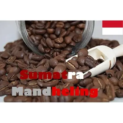 Specialty Grade Coffee Bean - INDONESIA SUMATRA MANDHELING G1 SINGLE ORIGIN 100GRAM .