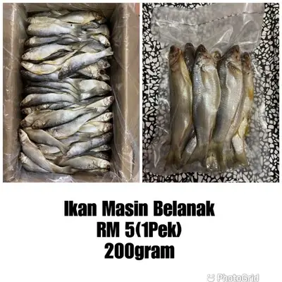 Ikan Masin Belanak(Muslim)
