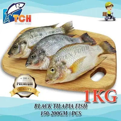 Ikan Talapia Hitam 200 300pc