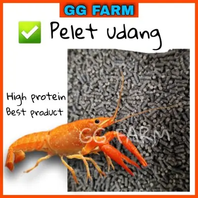 Kacang Soya Makanan Lobster Air Tawar Red Claw Air Tawar Food High Protein