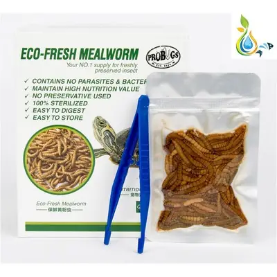 Live Mealworms Ulat Roti Yang Hidup 20g Feeder for Reptiles Fishes Birds Hamsters Etc