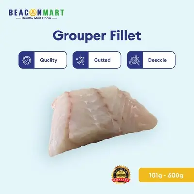 Frozen Dragon Tiger Grouper Garoupa Fish Ikan Kerapu Sek Pan 1kg