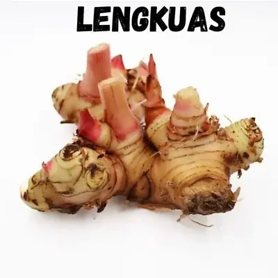 Lengkuas Masakan Harga Murah Sangat Restoran Kedai Makan dan Lain Lain