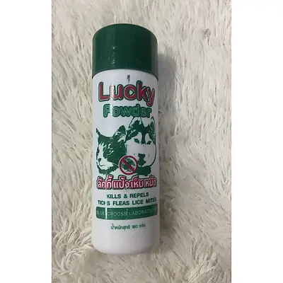 Ectodust Bedak Kutu 100ml