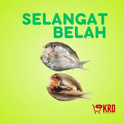 Selangat Kebasi Masin Belah