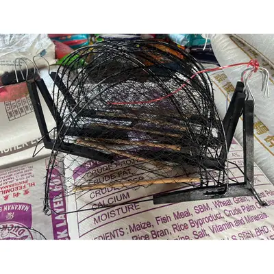 Jebak Burung Merbuk