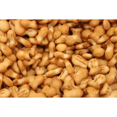Biskut Ikan