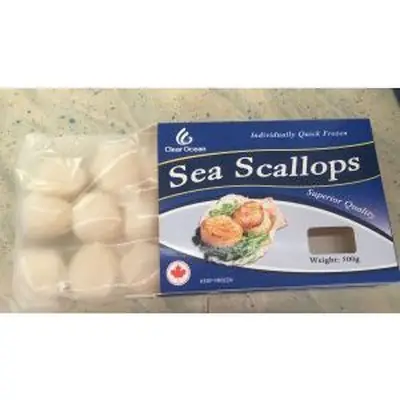 Canada Scallop 500gm 14 15PKT