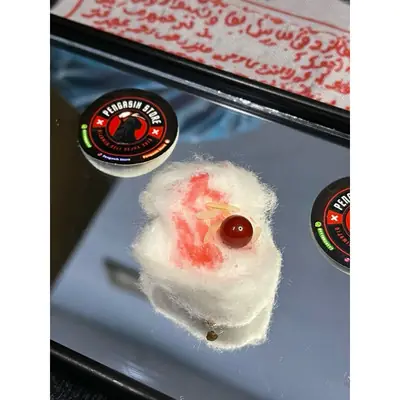 Geliga Ikan Kaloi Emas Original