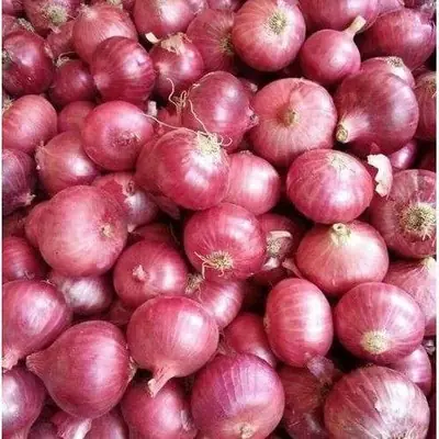 Bawang Merah Besar India 1kg Bawang Merah Kecil Rose Siam Aaa 500gram