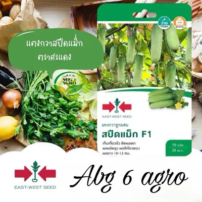 10 Pcs Benih Timun Tikus Seed Ivy Gourd Cucumber Timun Kecil Pepasan Benih Sayur Murah Plant Seed