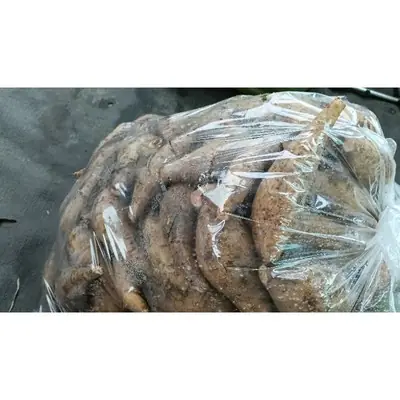Ubi Keledek Merah 1kg