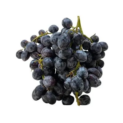 Ctg Adora Black Seedless Grape 500g Sweet Good for Healthy Snacking Salad Making Garden Basket