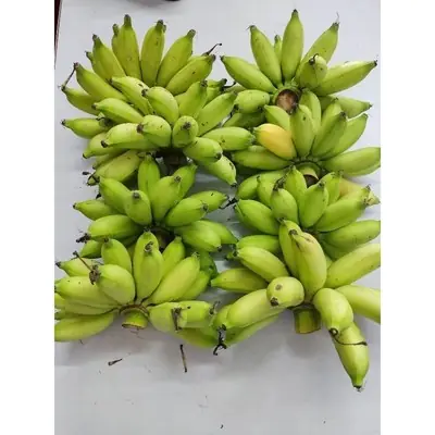 Ready Stock Pisang Boyan Lemak Manis 40 Hari 1kg