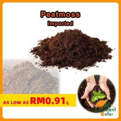 Peat Moss Tanah Semaian Medium Semaian Seeding Substrate