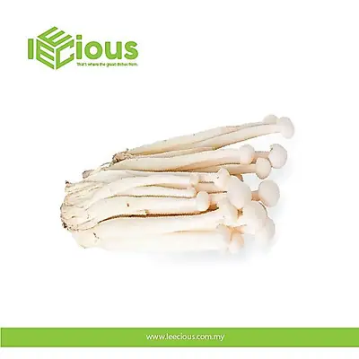 Whole White Mushroom Repack 30gr Snow Mushroom Snow White Fungus Ice Mushroom Bai Mu Er