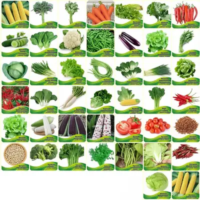 Benih Sayur Sayuran a